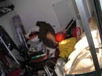 PICT0856